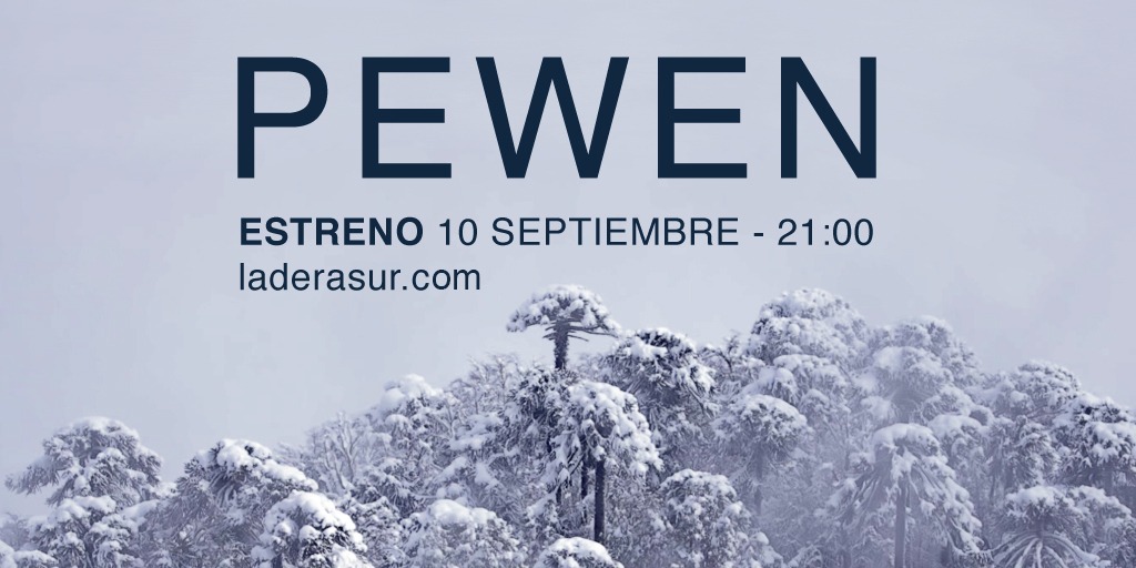 ladera_sur's tweet photo. 🌳 ¿Qué está pasando con el #pewen, árbol sagrado de los pehuenches y monumento natural de Chile? De eso y más nos contará el documental “Pewen: dirá la Tierra”!🎬 Mañana estreno IMPERDIBLE a las 9 pm por @Fmaradentro y #LaderaSur‼ https://t.co/Cha4wSe5uS https://t.co/ctmMmEEqLT