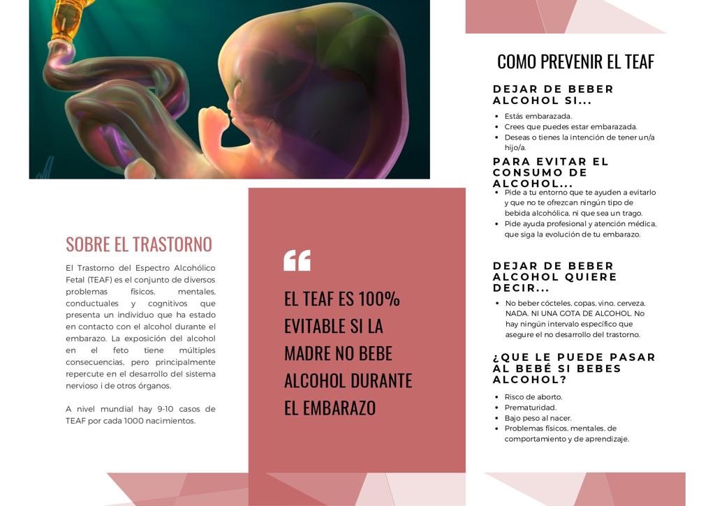 VisualTeaf's tweet photo. 9 del 9 Día Mundial del TEAF Tríptico informativo creado por la estudiante Julia Sánchez Crous. Increíble trabajo y gran aportación. Gracia Julia. En castellano  y catalán . Abrí hilo con los carteles en ambos idiomas. #TEAF #FASD https://t.co/tEJirrFVUY