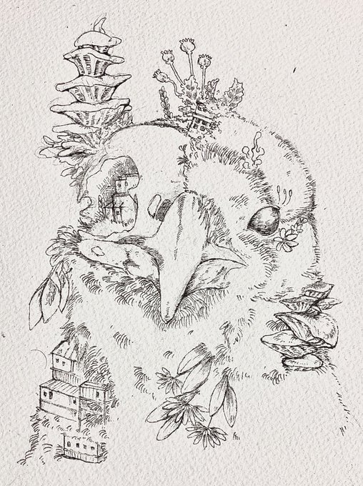 カラスハウス 