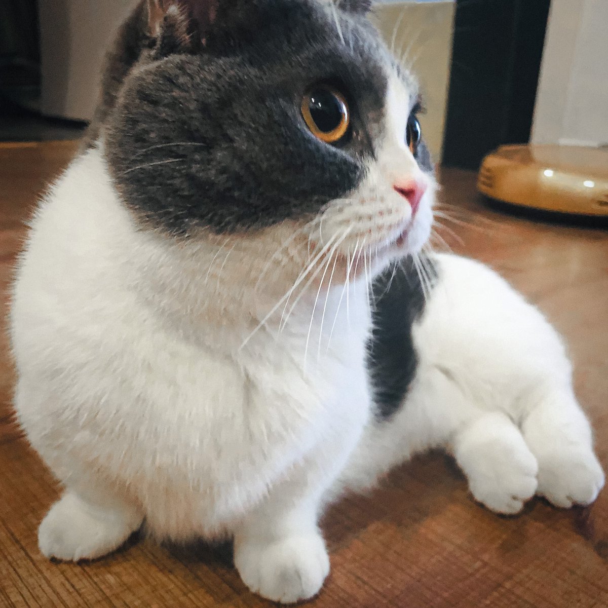 xiaozhan as jianguo: a mini thread