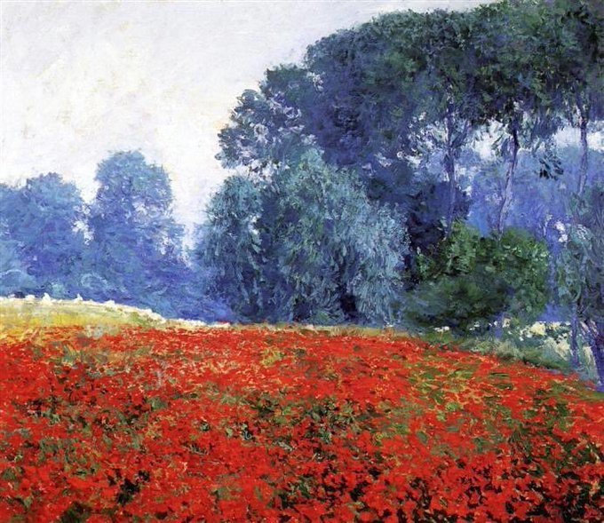 floresimosquera's tweet photo. campo de #amapolas 
#buscandoazules
#sfm
#roseguy https://t.co/2kAc8CSylX