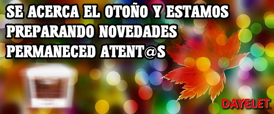 DAYELET (@dayelet) on Twitter photo 