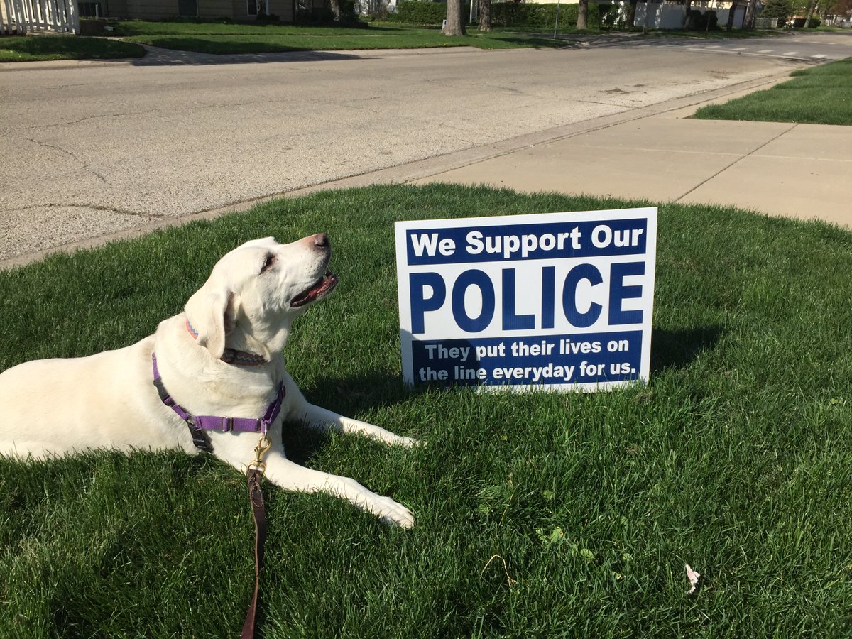 USHouse2022's tweet photo. Dear #Chicago #Illinois #IL03 #IL06 #IL14 Voters
When you go to #TheVotingBooth and #DontVoteByMail because your vote will get contested as it should if #WeThePeople want to #ValidateOurElections by #FingerprintingAllVoters, remember the face of this beautiful child of God
#DocY https://t.co/00ppwHp6Fj