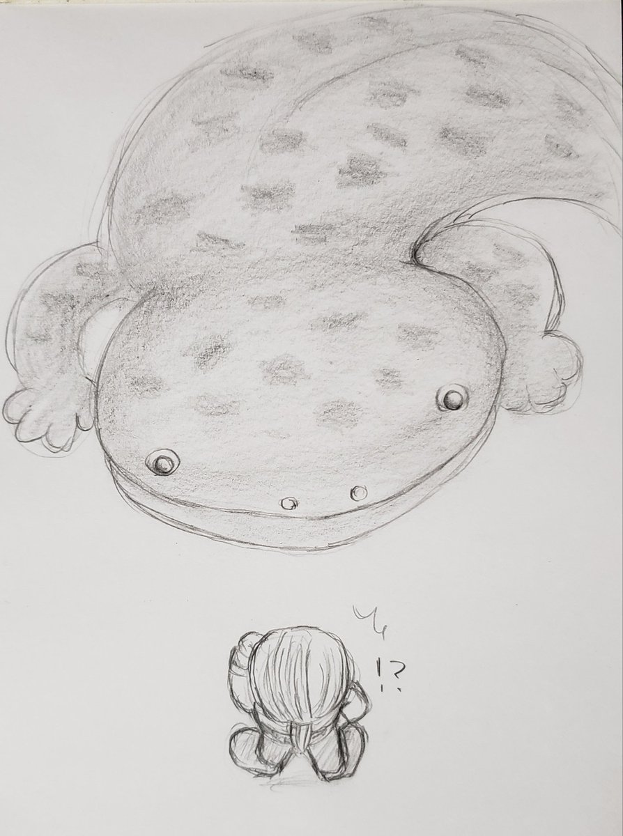 Twoucan オオサンショウウオの日 の注目ツイート イラスト マンガ