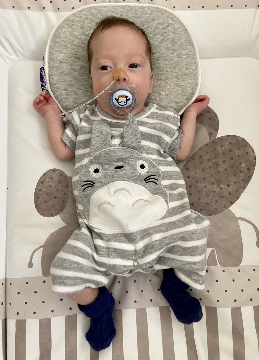 Nerys Hughes tweet media