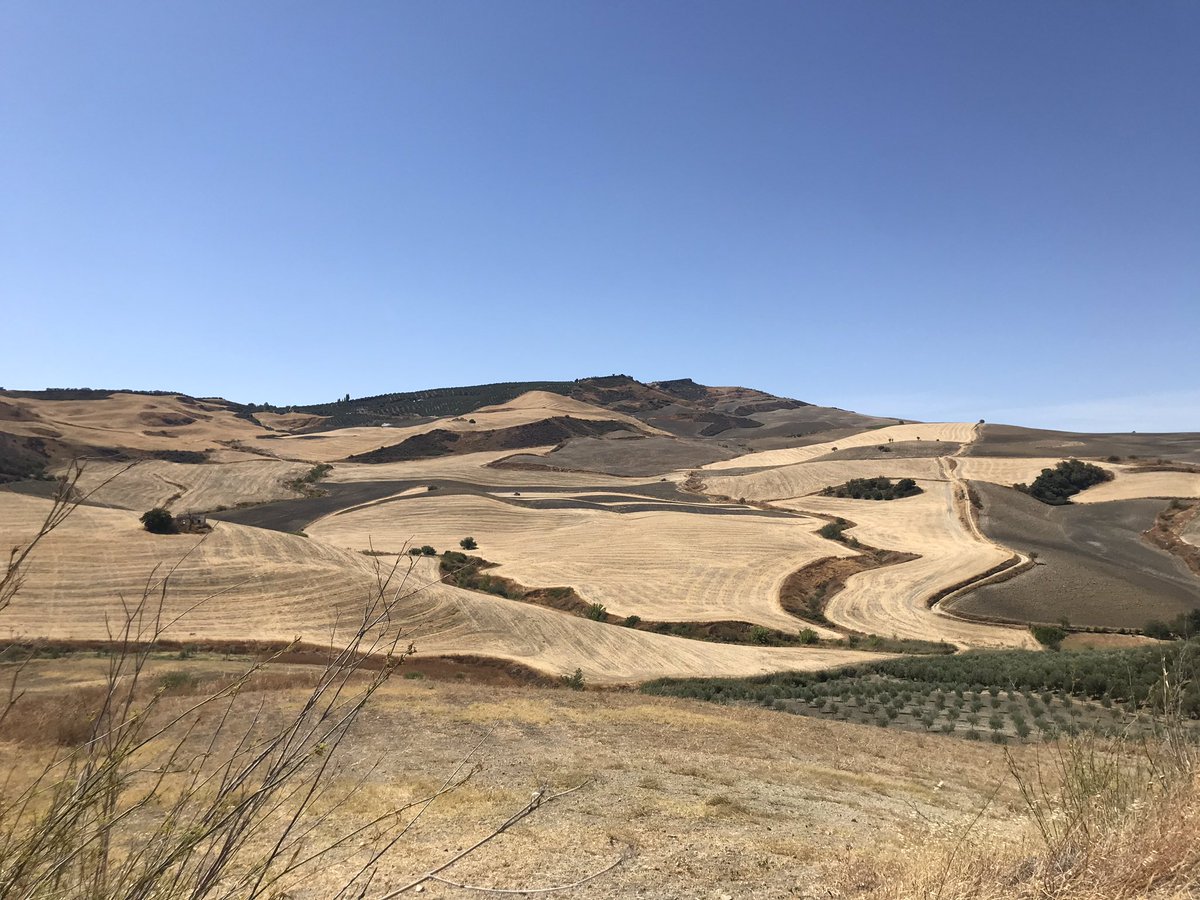 aytodesetenil's tweet photo. Todos los 9 de septiembre se celebra el #DiaMundialDeLaAgricultura. Y este año, más que nunca, realizamos nuestro homenaje a nuestros agricultores que dedican su vida a cultivar las tierras para abastecer de alimentos a las poblaciones.
#SetenilMaravillaRural https://t.co/DFlBDpwvMl