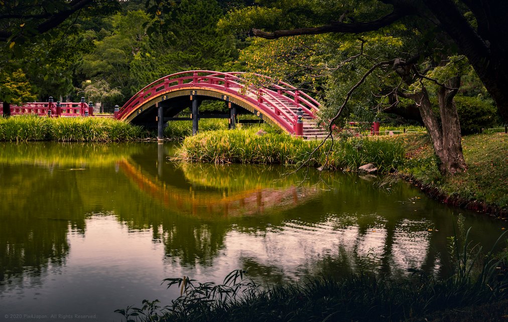 pix4japan's tweet photo. Arched Bridge of Temple Garden
Portfolio: https://t.co/vTJzcnEmye
Pentax KP 31 mm ISO 100 for 1/5 sec. at ƒ/13
#Japan #garden #pond #templegrounds #bridge #archedbridge #Japanesebridge #vermilion #Yokohama
#神奈川県 #横浜市 #金沢山 #称名寺 #反橋 #太鼓橋 #金沢八景 #文庫の史跡 https://t.co/eyEA1mNGQ6