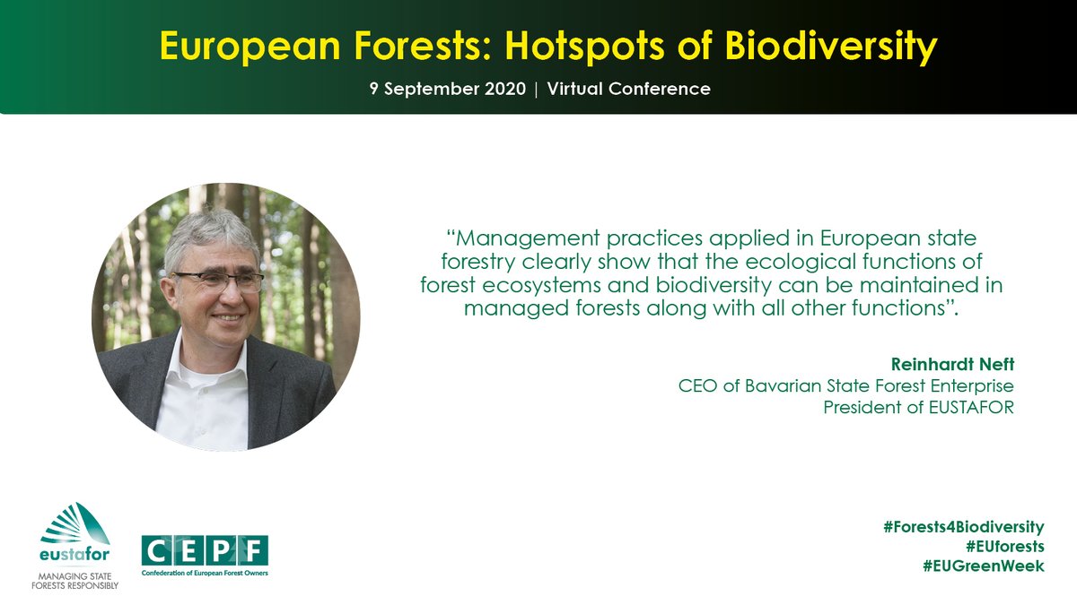 EUSTAFOR's tweet image. .@EUSTAFOR President Reinhardt Neft stressed that #SustainableForestManagement applied in #EUStateForests shows the ecological functions of forest ecosystems &amp;amp; #biodiversity can be maintained along with all other functions.

#Forests4Biodiversity 
#EUForests
#EUGreenWeek