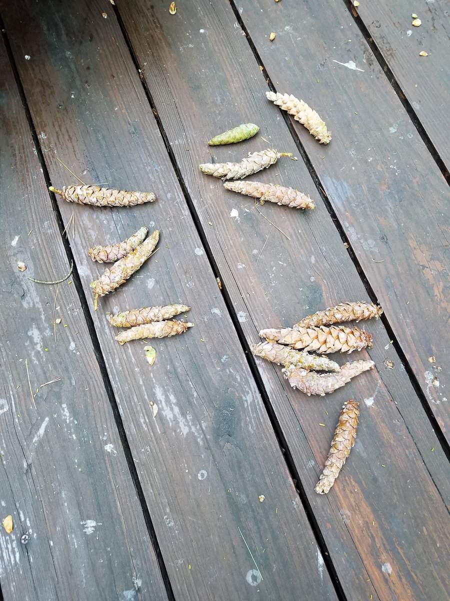 Marilyn Burns tweet media