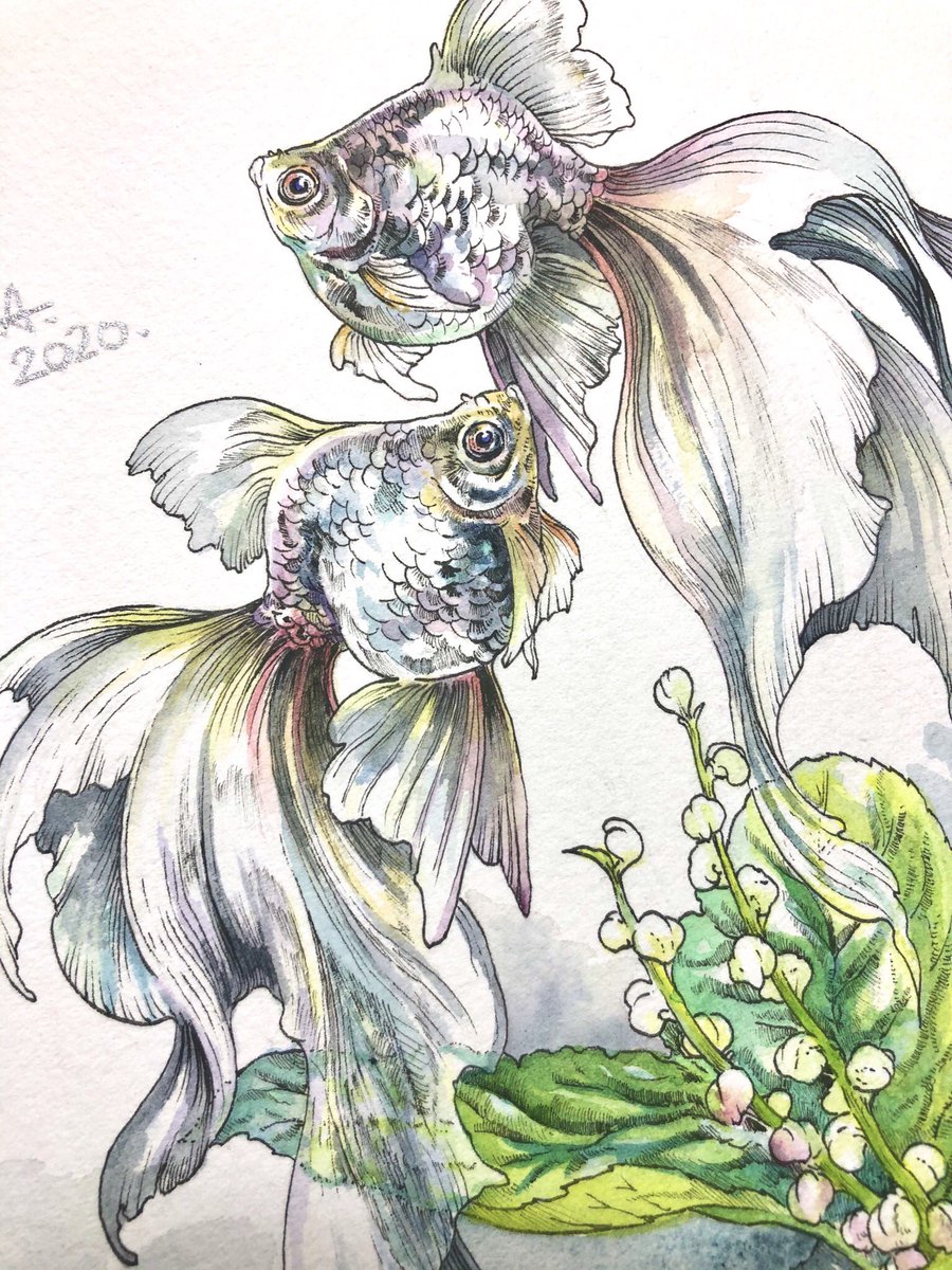 輝くオオサンショウウオ 絵画 イラスト ドローイング
