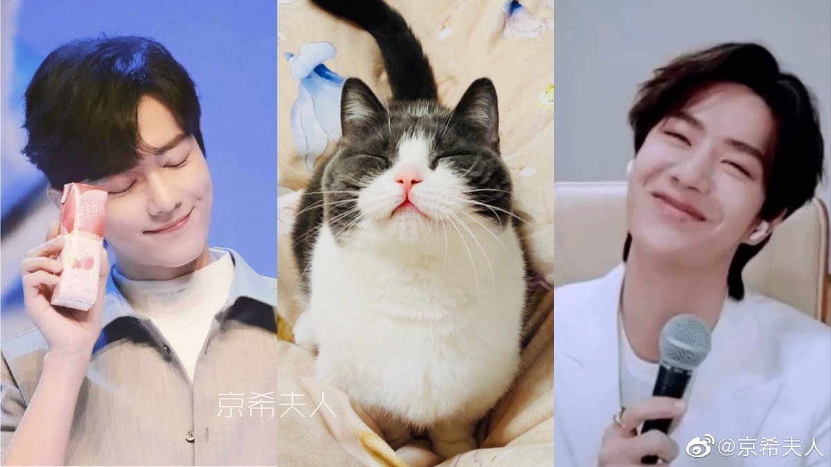 สำเนาถูกต้องงงงง