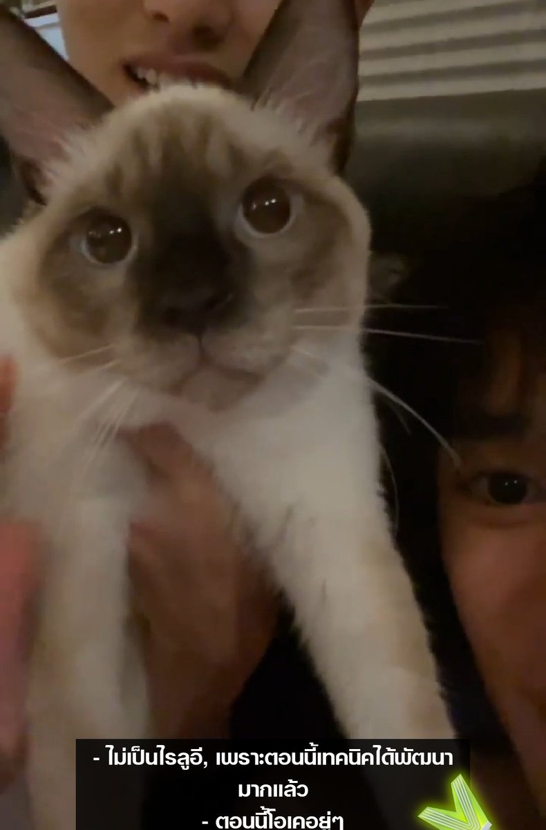 เลิฟ การจะเปิดฟิลเตอร์เพราะกลัวแมวไม่น่ารัก 55555555555555555