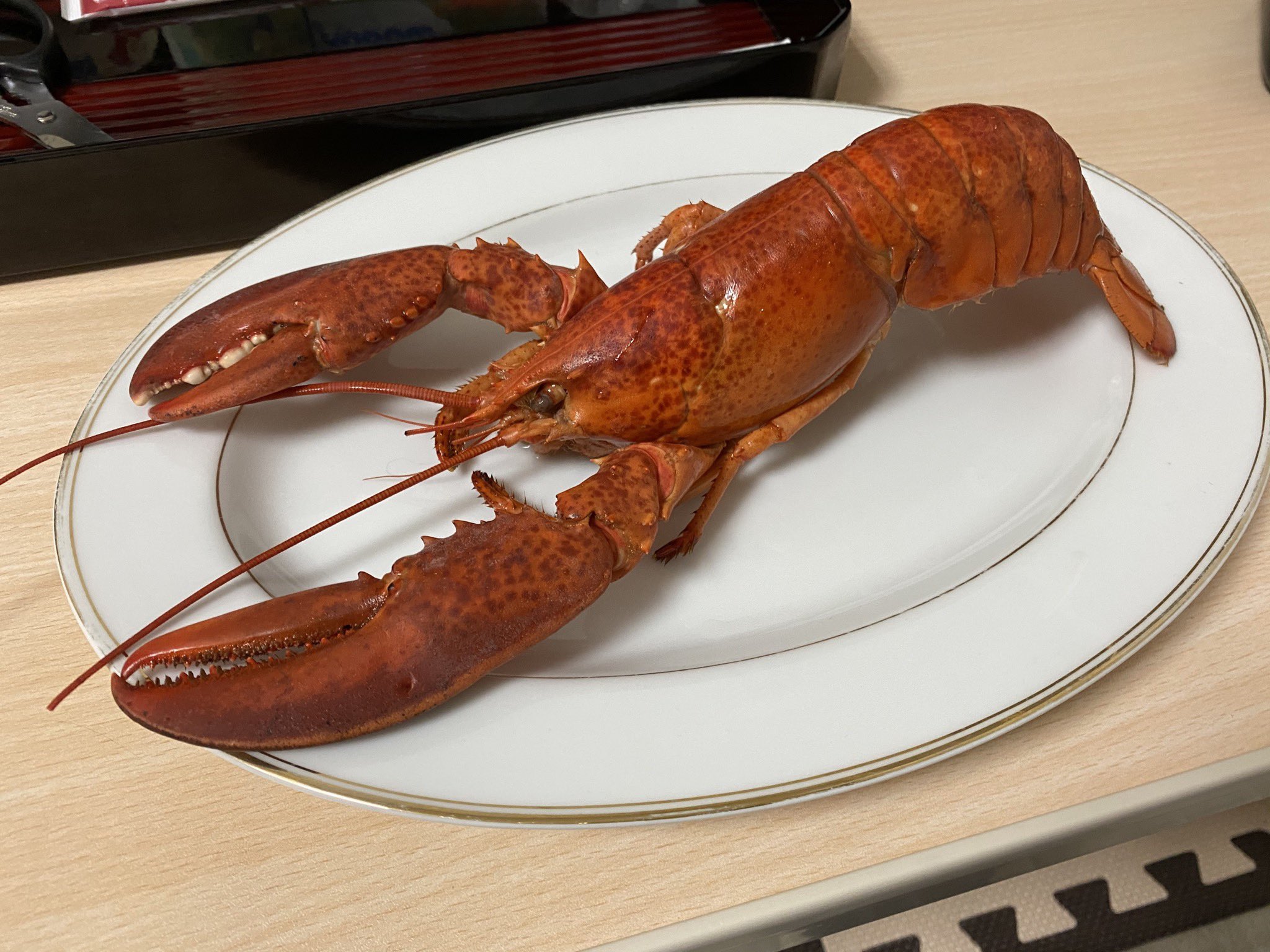 ӧ まー 先日 生まれて初めてロブスター オマールエビ を食べた グリルを味付け無しで食べたけど エビ好きにはたまらないんだろうなっていう濃厚さでそのままでも美味しかったし ミソやタマゴもたっぷりで旨味爆弾だった 味も気になってたけど