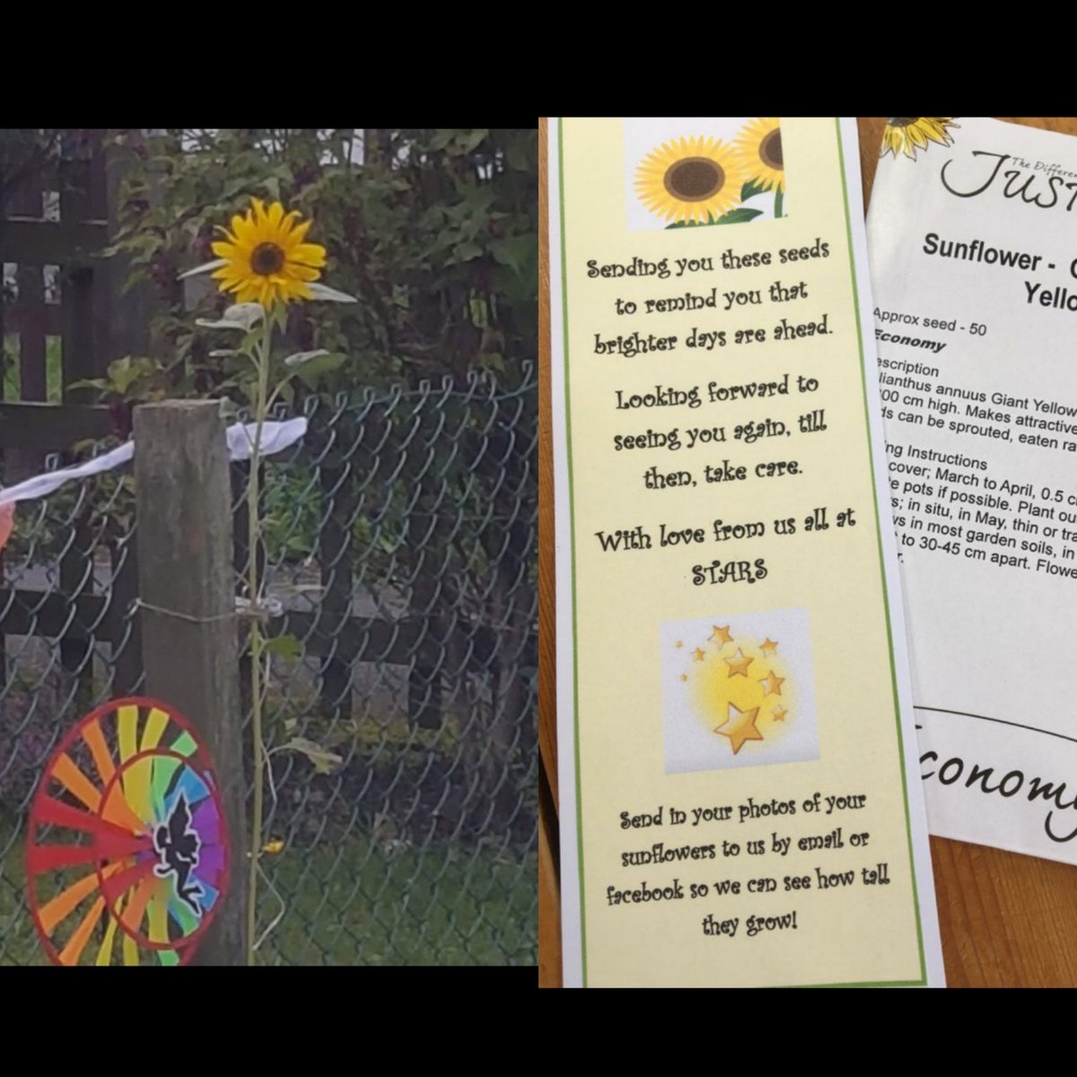 STARS- Bereavement Support For Children tweet media