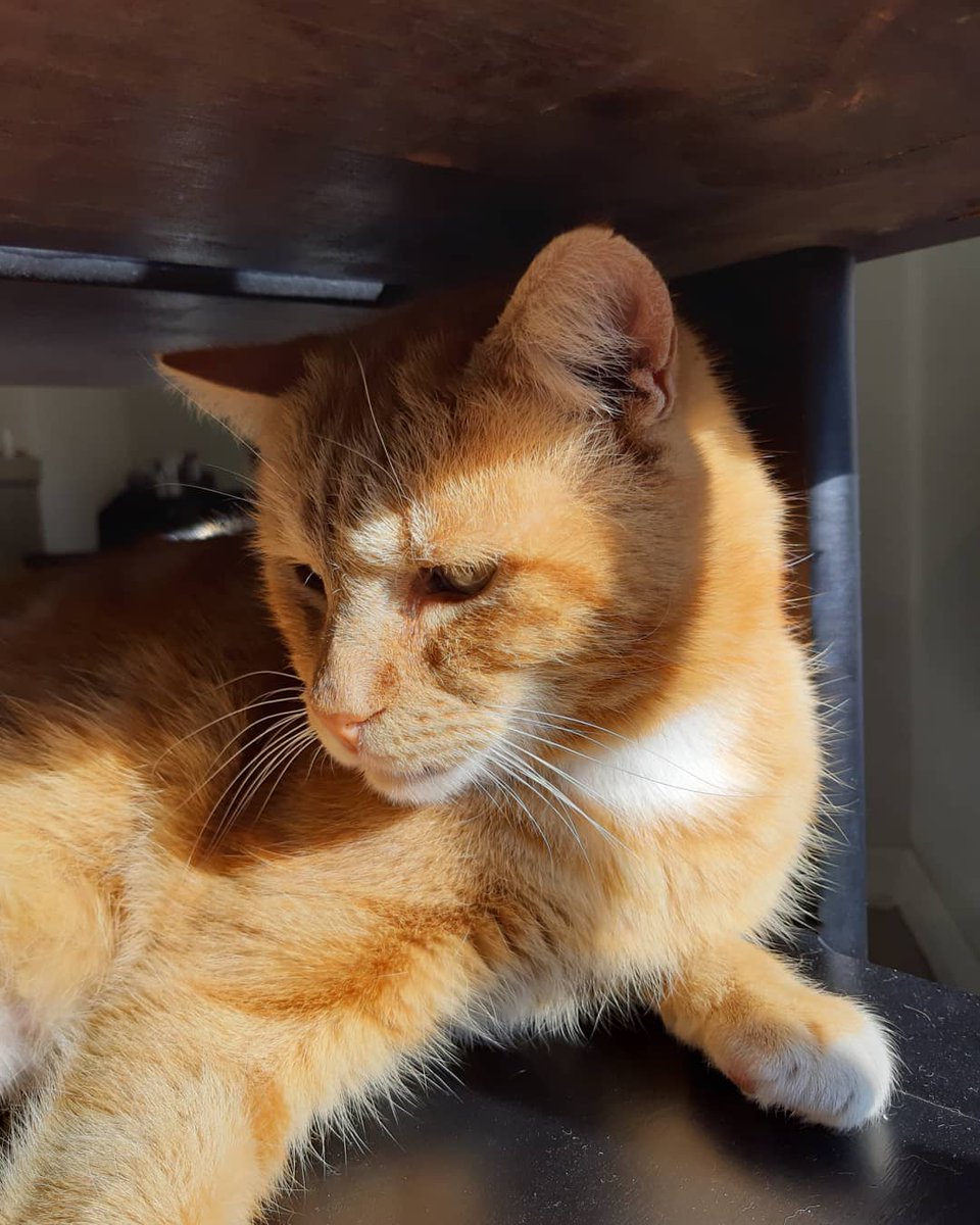 Hair at George at Studio III Hair Design at the Stables Village Market!♥️😷😉