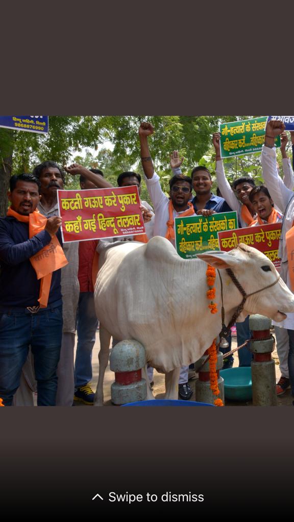 Kamaljo15622592's tweet photo. We need vitamin C and D from Sun to boost our immunity instead of cow's blood in the form of vaccines because it's against our religion.
https://t.co/HYq3gL4Vjn
#SaveCow
#SaveCalf
It's time to wake up Government.
@narendramodi 
@PMOIndia 
@drharshvardhan https://t.co/raqbry65Aj