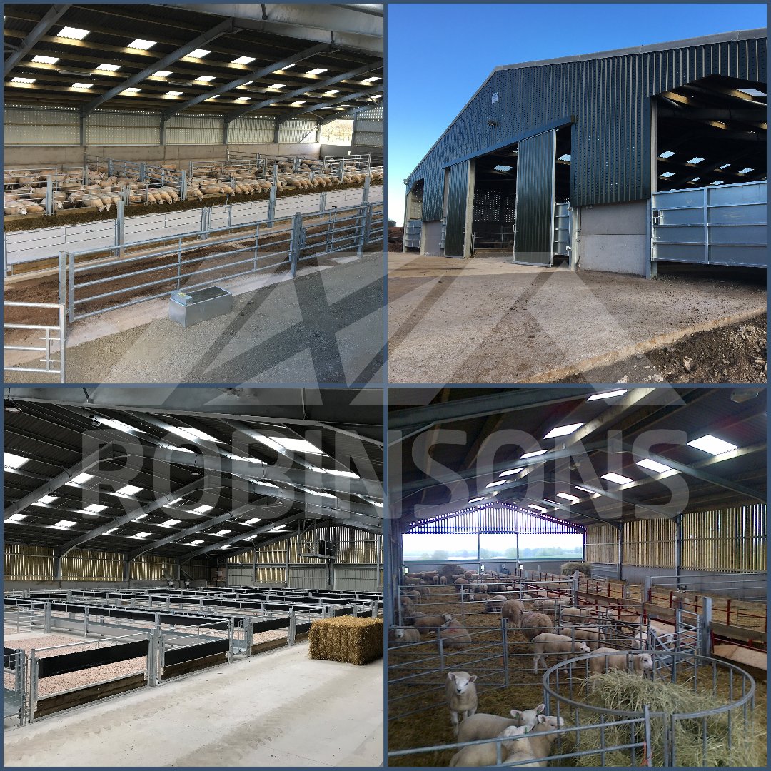 #Lambing season is really just round the corner! 
If you're needing to extend or revamp your building - or even just need a full new set up - get in touch with our team asap.

Start your journey with Robinsons today: bit.ly/RBQuoteBuilder

#sheep365 #farminguk #agriuk