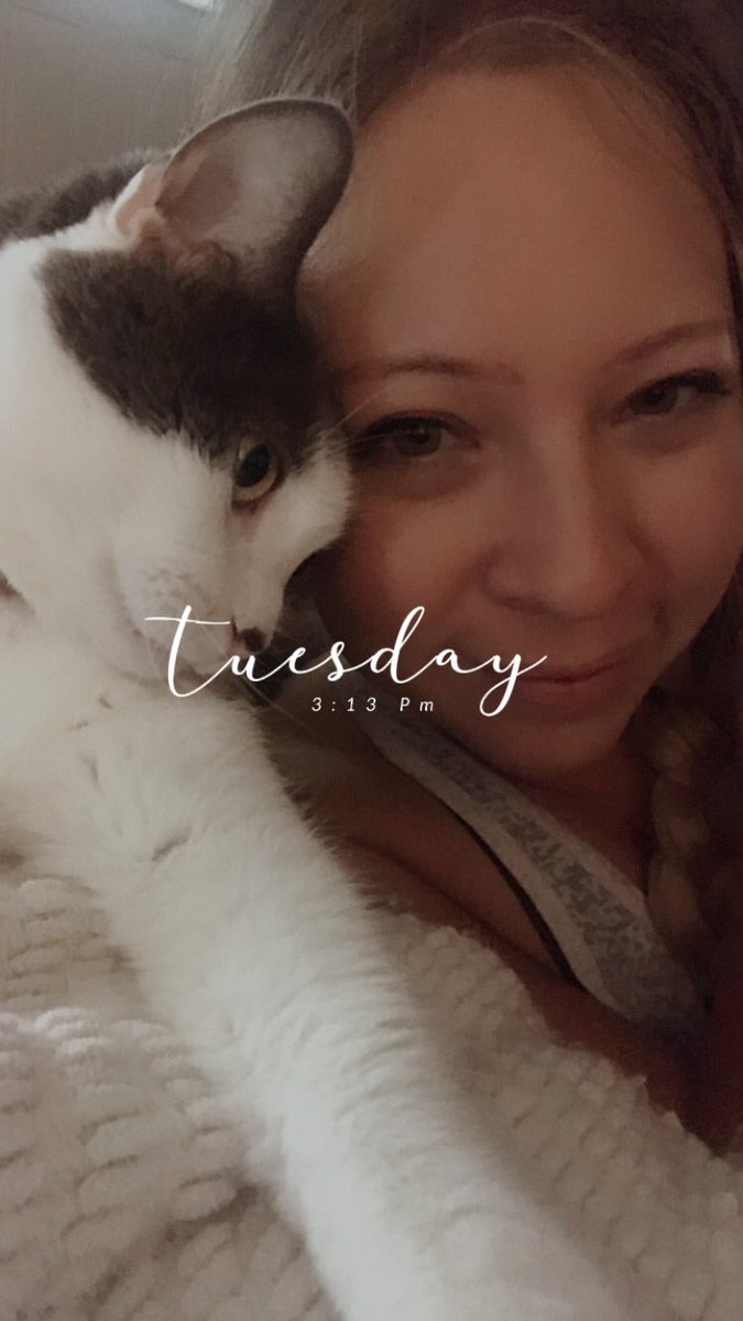 KaylaMiniSmock's tweet image. How handsome is my sweet boy?! 😻