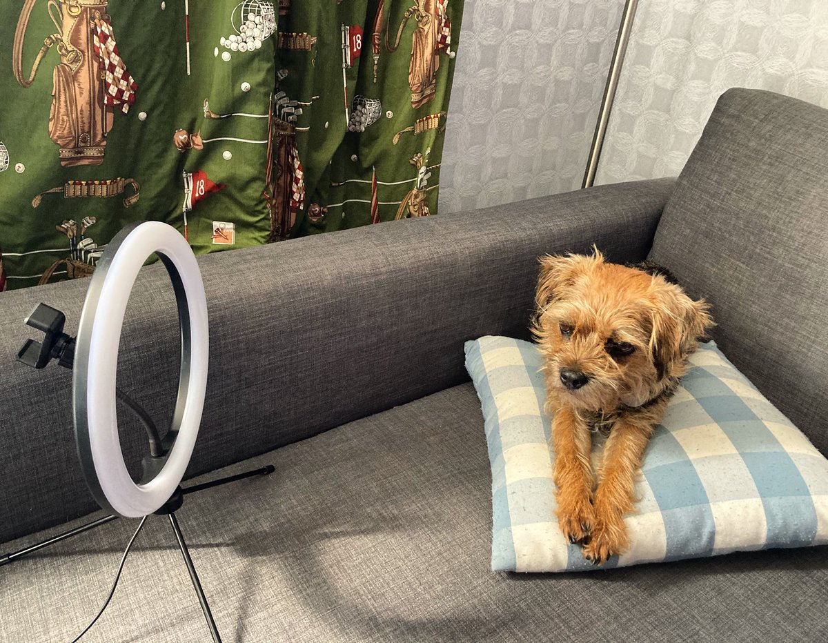 DrLucyJWishart's tweet photo. Just walked in on this scene. Setting up for her next YouTube update ๐๐ฑ๐ฅ #VlogDog https://t.co/5hlZOOBvvU