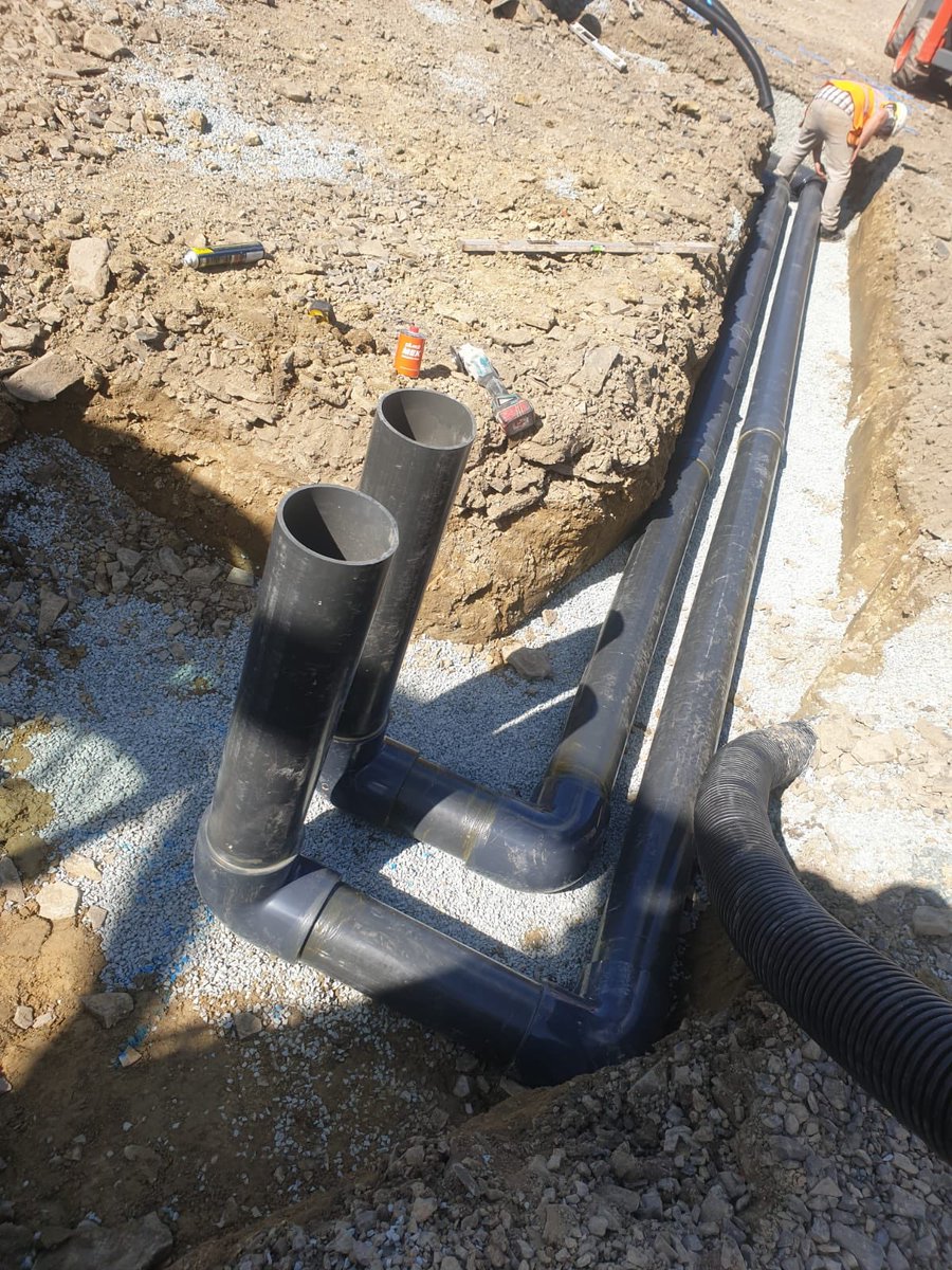 Anthony Litchfield tweet media