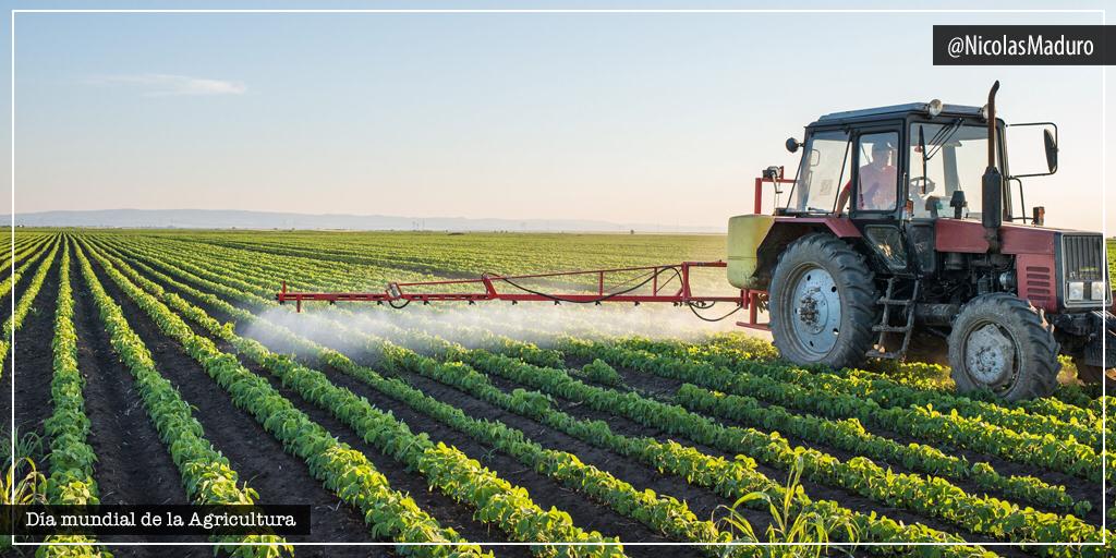 NicolasMaduro's tweet photo. En Venezuela estamos dando pasos firmes para avanzar en la construcción de una economía real, a través de la Gran Misión AgroVenezuela. Les reitero el máximo apoyo a los productores que no detienen la marcha por el desarrollo de la Patria. ¡Feliz Día Mundial de la Agricultura! https://t.co/erygikDx5P