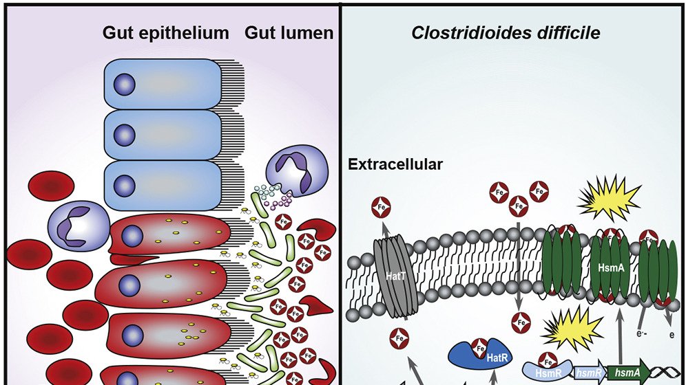 Cell Host & Microbe tweet media