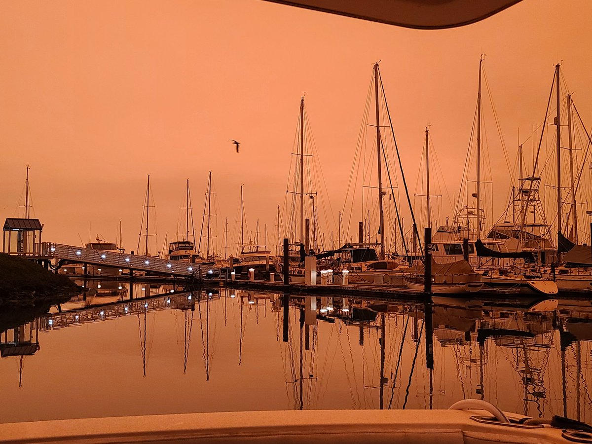 BayYacht's tweet photo. @kron4news Alameda view from our yacht cockpit...at 8:45AM. Lights still on, ash on decks https://t.co/Y49DnywhZa