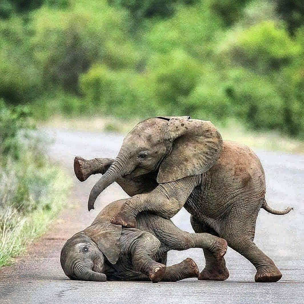 HendrickTours's tweet photo. Visit Sri Lanka
https://t.co/w1AoTMeYMg https://t.co/YrgNRhSRHF