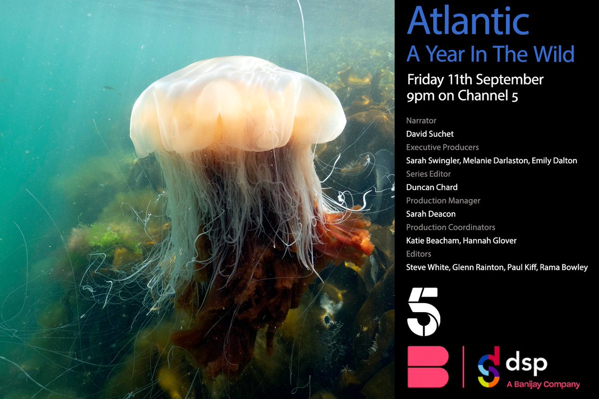 Atlantic: A Year In The Wild is retunring to <a href="/channel5/">Edd Dawson</a>  Starting Friday 11 September  woth #PostProduction from <a href="/filmsat59/">Films at 59</a>