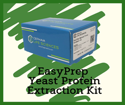 CephamLS's tweet image. Why do all of the work? Order 100 preps at 15% off. Our EasyPrep Yeast Protein Extraction Kit is designed for simple, efficient extraction of total proteins from different yeast samples. #proteomics CephamLS.com  #LabLife  #ProteinExtraction