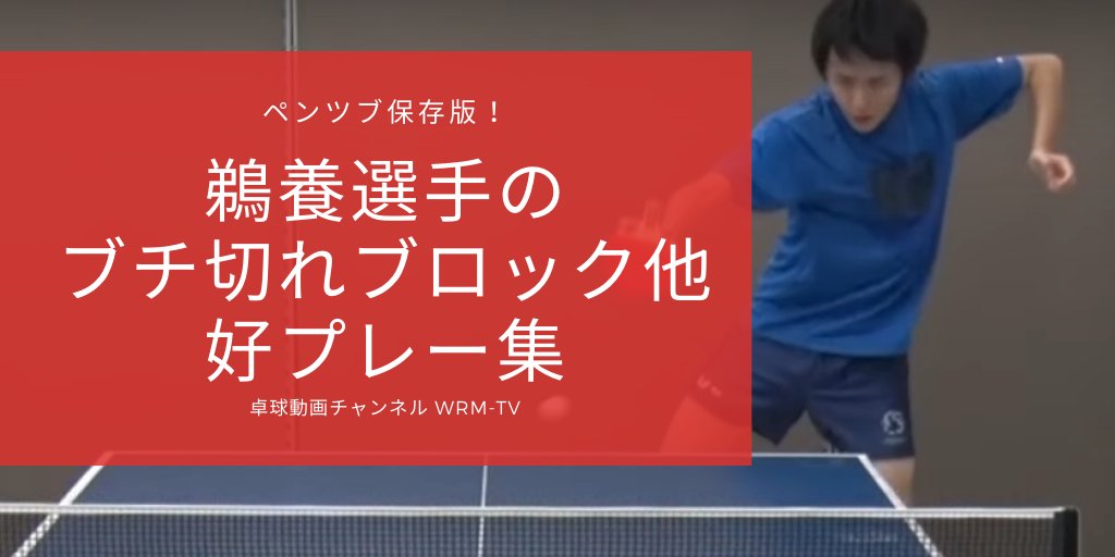 Wrm店長 長部 Wrmメンバー870名 ペン粒の鵜養選手 Vs ぐっちぃ やっすんの好プレー制作しました ペンツブのお手本 ブチギレ コース 粘り 守備力 攻撃力 お手本にしやすい正統派ペン粒高選手です 動画はリプ Takkyu 卓球