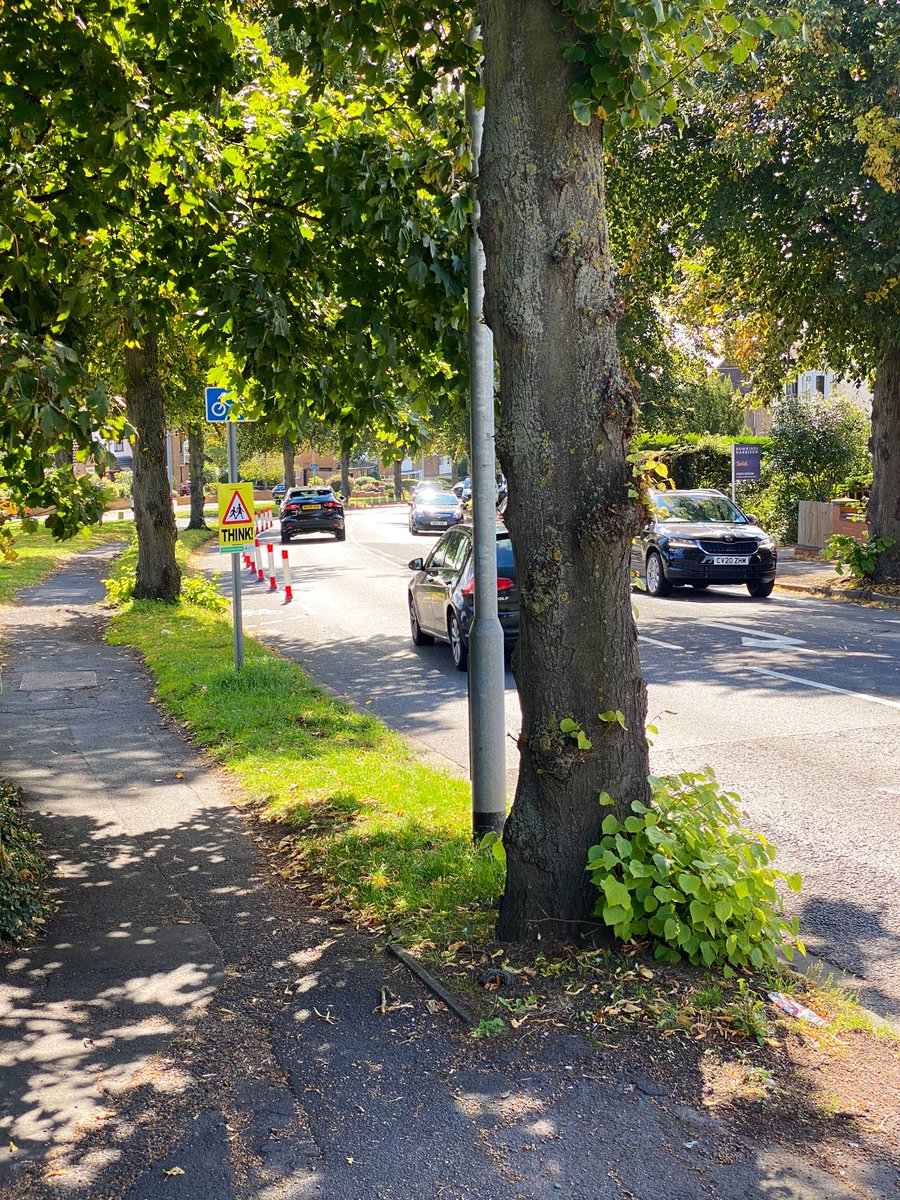 This road, this direction, was not a priority, out of all the places in a county where folk have been pleading on Commonplace for interventions. It’s too narrow. The wands are cheap tat. But complainants against the scheme aren’t proposing *improvements*. They just want it gone.