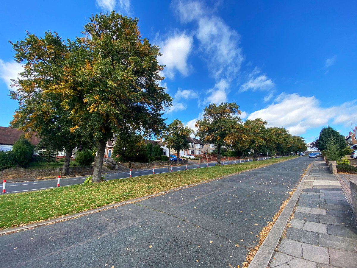 This road, this direction, was not a priority, out of all the places in a county where folk have been pleading on Commonplace for interventions. It’s too narrow. The wands are cheap tat. But complainants against the scheme aren’t proposing *improvements*. They just want it gone.