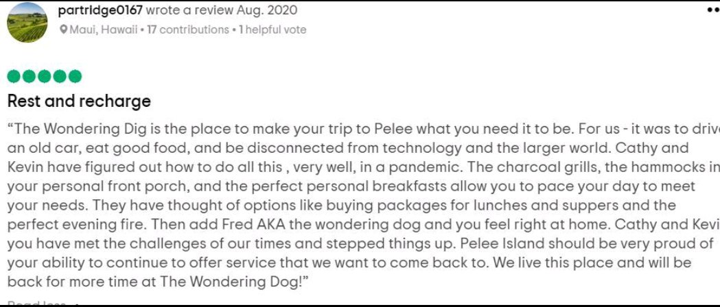 Wandering Dog INN tweet media