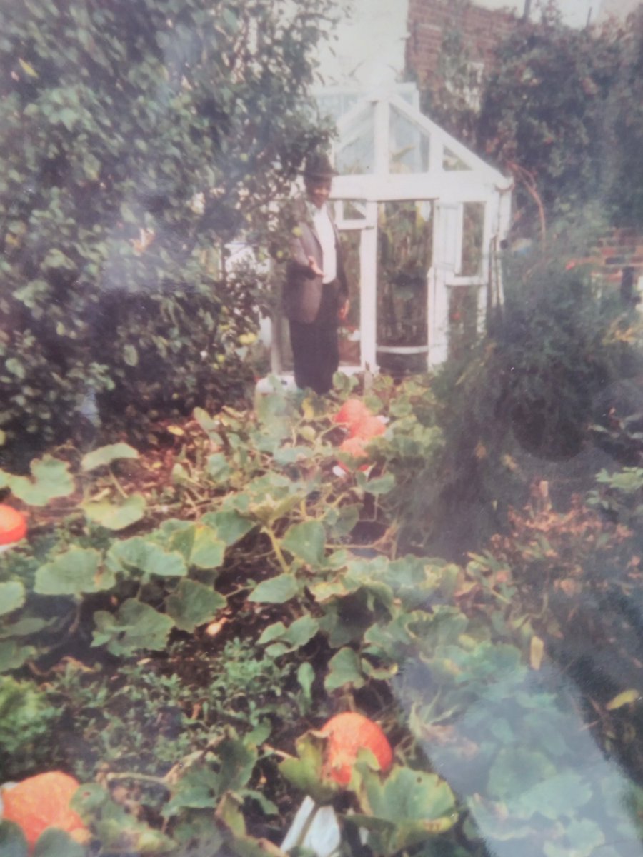 When you bring the love of growing your own food from the west Indies to Britain.