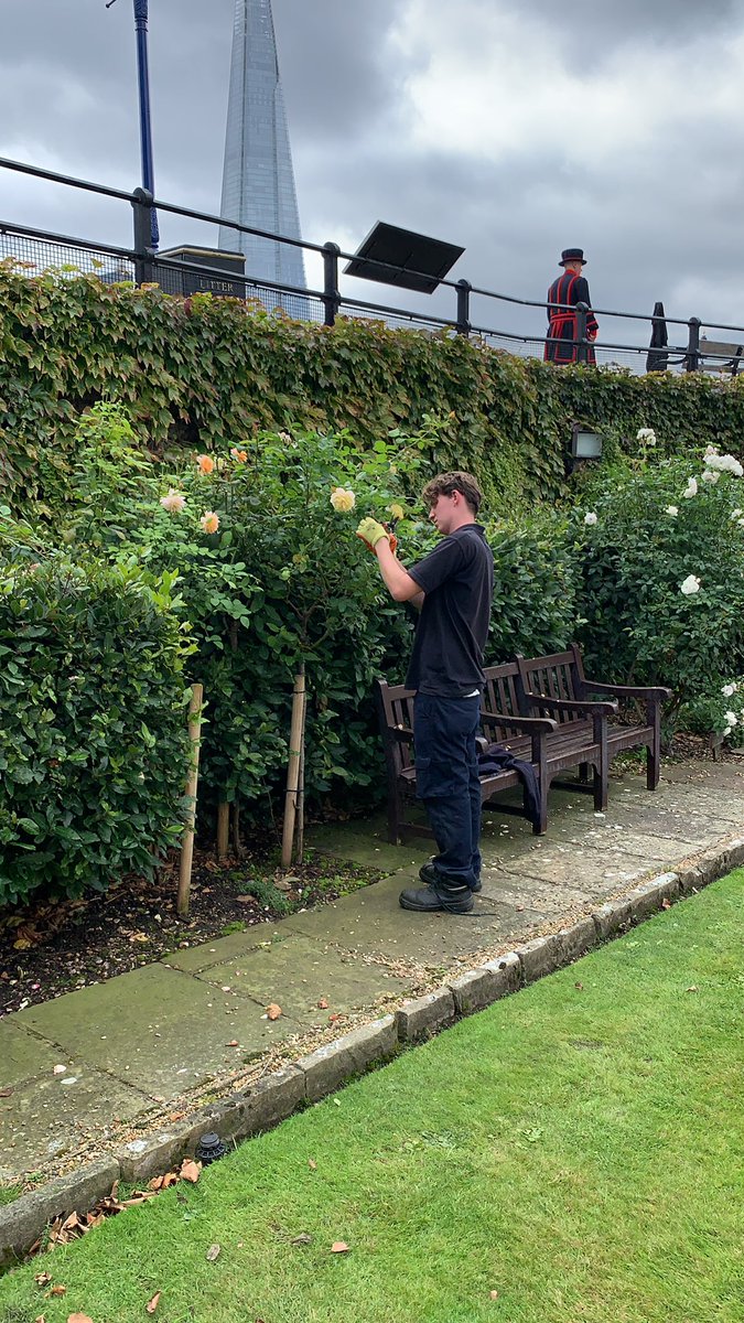 squires_leeGC's tweet photo. Great time spent onsite today with one of our apprentice gardeners. He certainly has come along way in the last 3 months.
#thefuture #oneteam  #smashingit @GroundControlGC @GCMarcWilkinson @GrahamBirdGC https://t.co/Lgk0ndNHmx