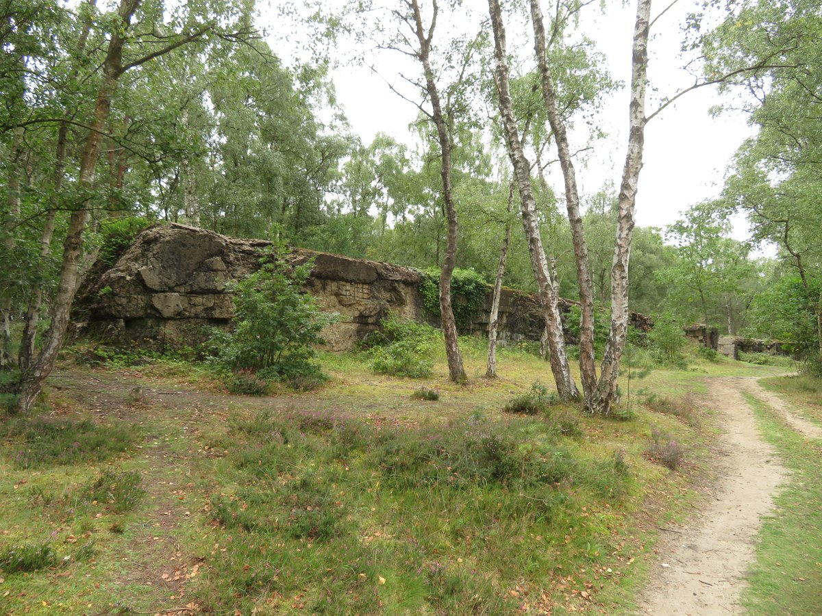 As I was in the area doing some surveys, I popped onto Hankley Common to see the 'D-Day Atlantic Wall', a training site replicating an anti-tank wall and used to test explosives and breaching techniques.