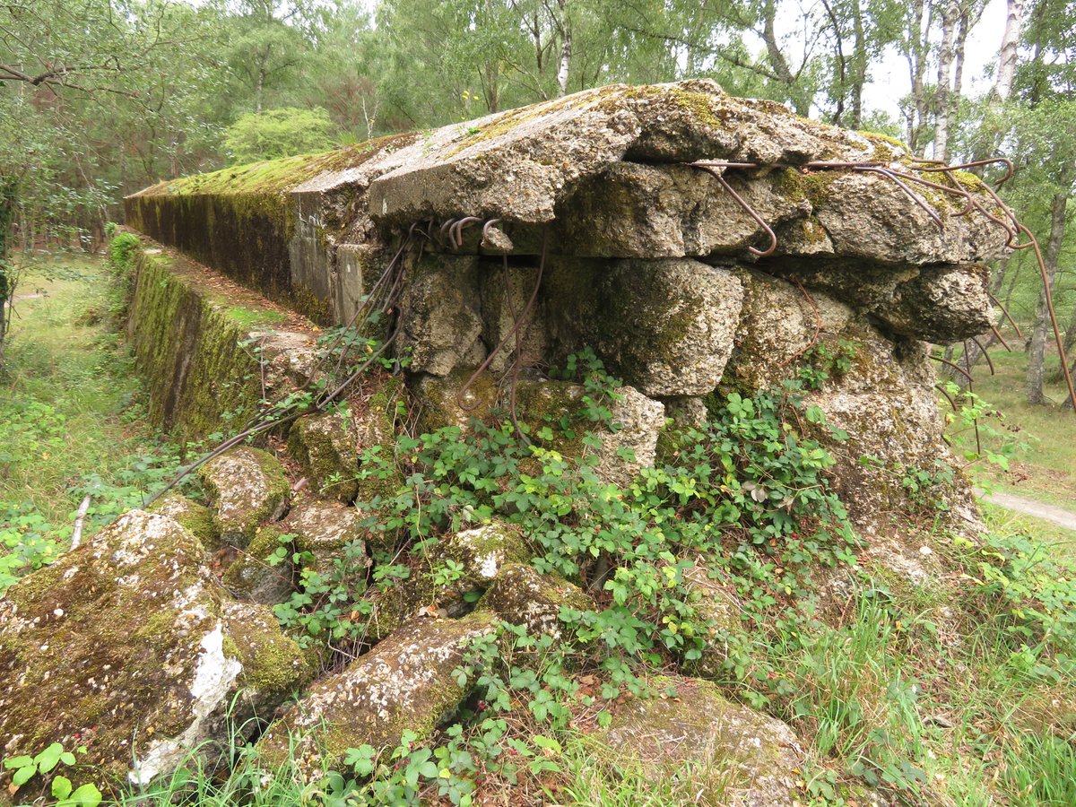 It's phenomenal! There are two breaches in it (allegedly made by AVRE Onions) that show the internal reinforcement and strengthening.