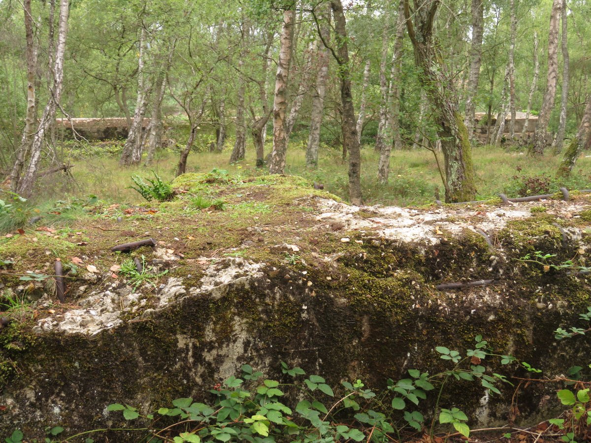 It's surrounded by small scale obstacles and defences, with some traces of field fortifications as well.