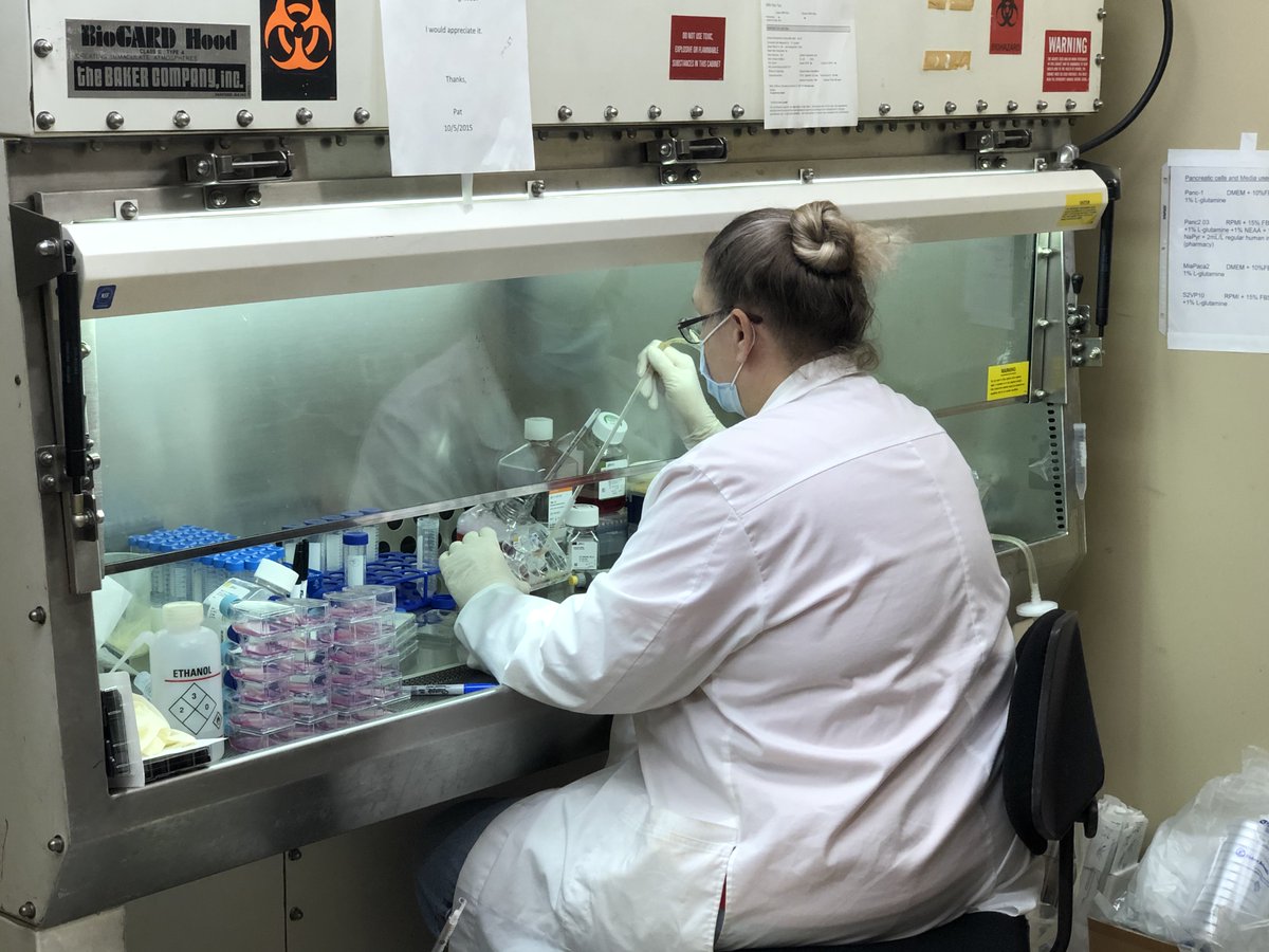 Meet Regina! Shes the lab manager of the #HardimanLab.  She is in charge of keeping the lab running smooth and keeping our cute oragnoids alive! She is from Michigan and her favorite part of the South is the fresh fruit picking and eating! <a href="/UABSurgery/">UAB Surgery</a> @HardimanKarin