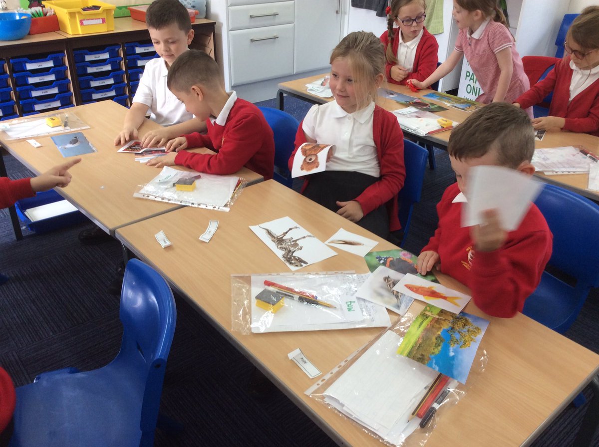 All_Saints_Sch_'s tweet photo. Year 2 during Science.
Classifying things that are alive, dead or never alive.
#Wednesdayscience https://t.co/6uhHEP1bSC