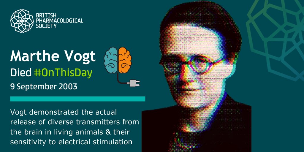 Photo of Marthe with the words "Vogt demonstrated the actual release of diverse transmitters from the brain in living animals and their sensitivity to electrical stimulation"