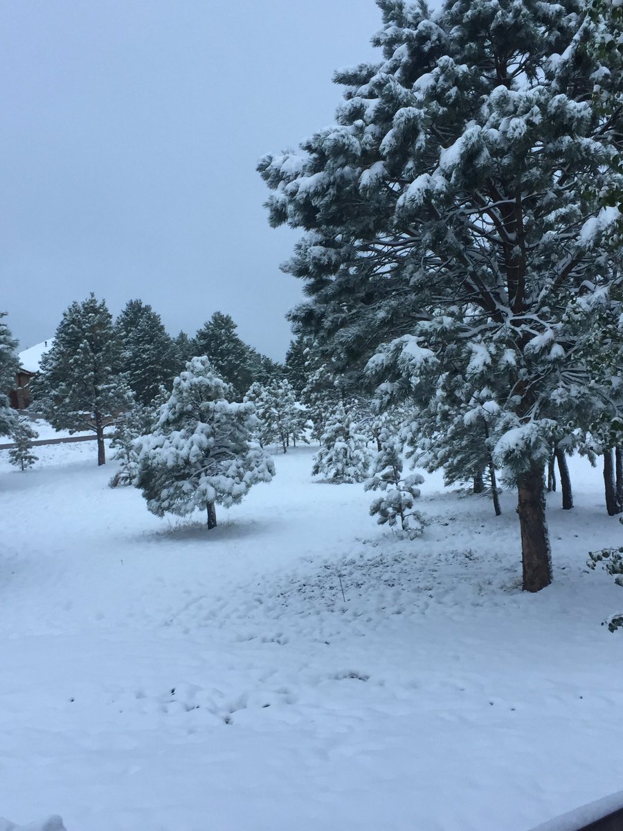 Close to 10” in Black Forest at 7,700 feet.  #ColoradoSnow