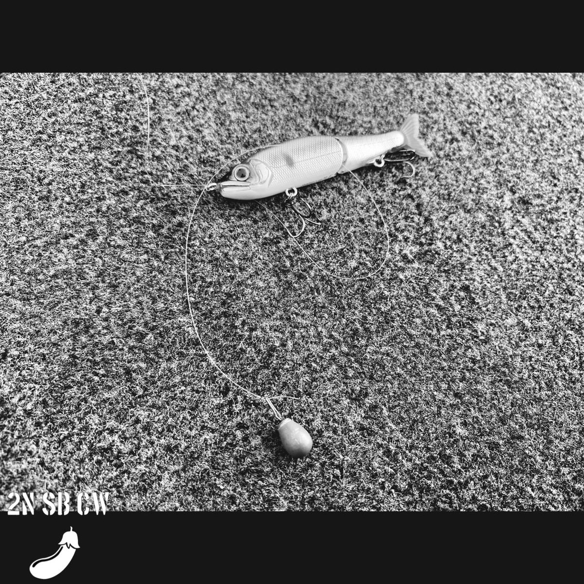 ダウンショットリグ