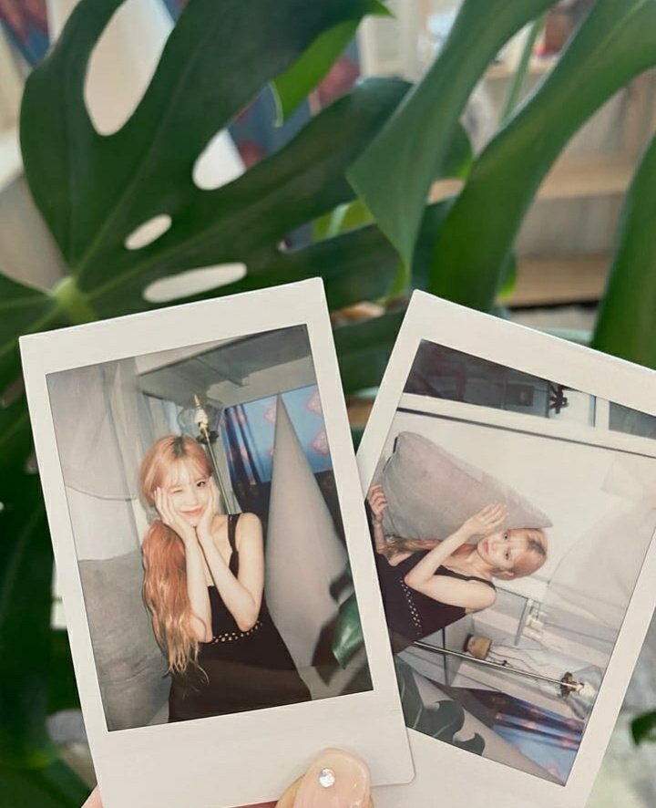 hayongfromis's tweet photo. just opened a new personal instagram account but this time the other members made it too. sooo, hello! make sure you guys will follow me on instagram with username https://t.co/3g8vjykuNt! it will be my online gallery to share it with Flovers from now on! 📷 https://t.co/EIWQVHn8EG