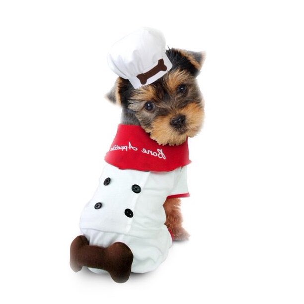 day 31 of jonny as puppies 