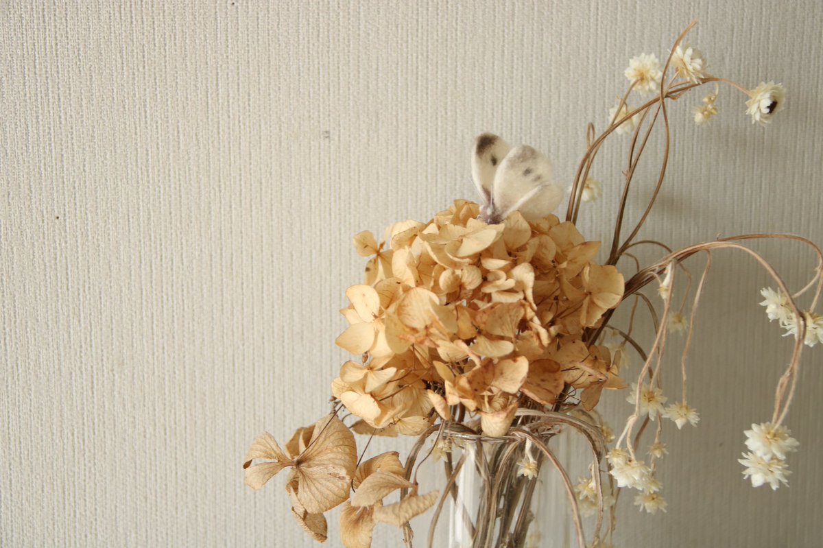 Atelierhatena 羊毛フェルト ウミウシ制作がなかなか進まないので Hatena作品の飾り方の提案を 虫 さんたちなどはドライフラワーに止まらせるのおすすめです モンシロチョウ 羊毛フェルト Atelierhatena 羊毛フェルト ウミウシ制作がなかなか進まないので Hatena作品の飾り方の提案を 虫 さんたちなどはドライフラワーに止まらせるのおすすめです モンシロチョウ 羊毛フェルト