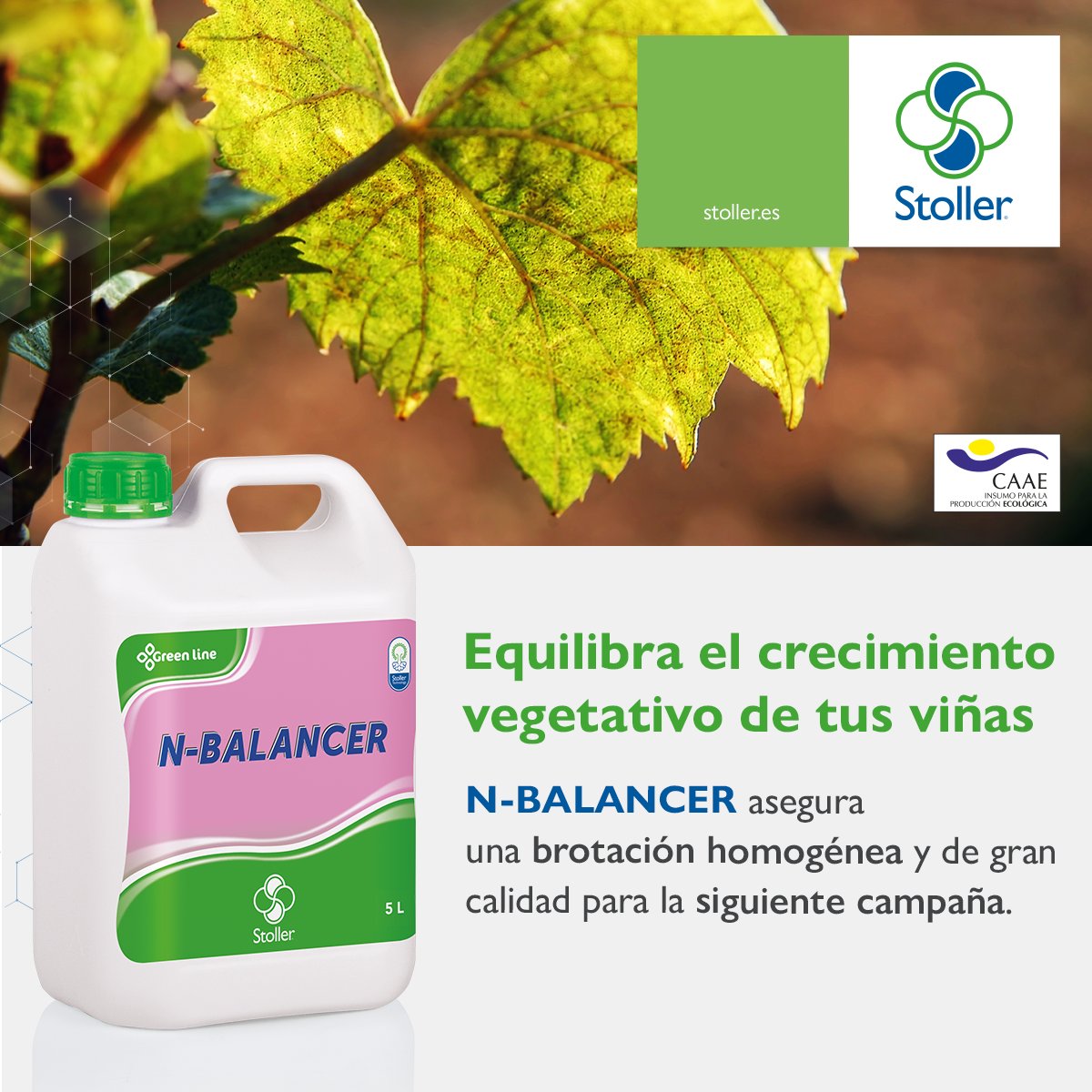 StollerEurope's tweet image. 🍇 #NBalancer mejora la acumulación de reservas y el agostamiento de la planta.
 
🤝 Contacta con nosotros y descubre cómo la #TecnologíaStoller puede ayudarte. 
 
Más info sobre N-BALANCER aquí ➡bit.ly/NBalancerEs

#AcumulacionDeReservas #Uva #Vid #Viña #Vitisvinifera