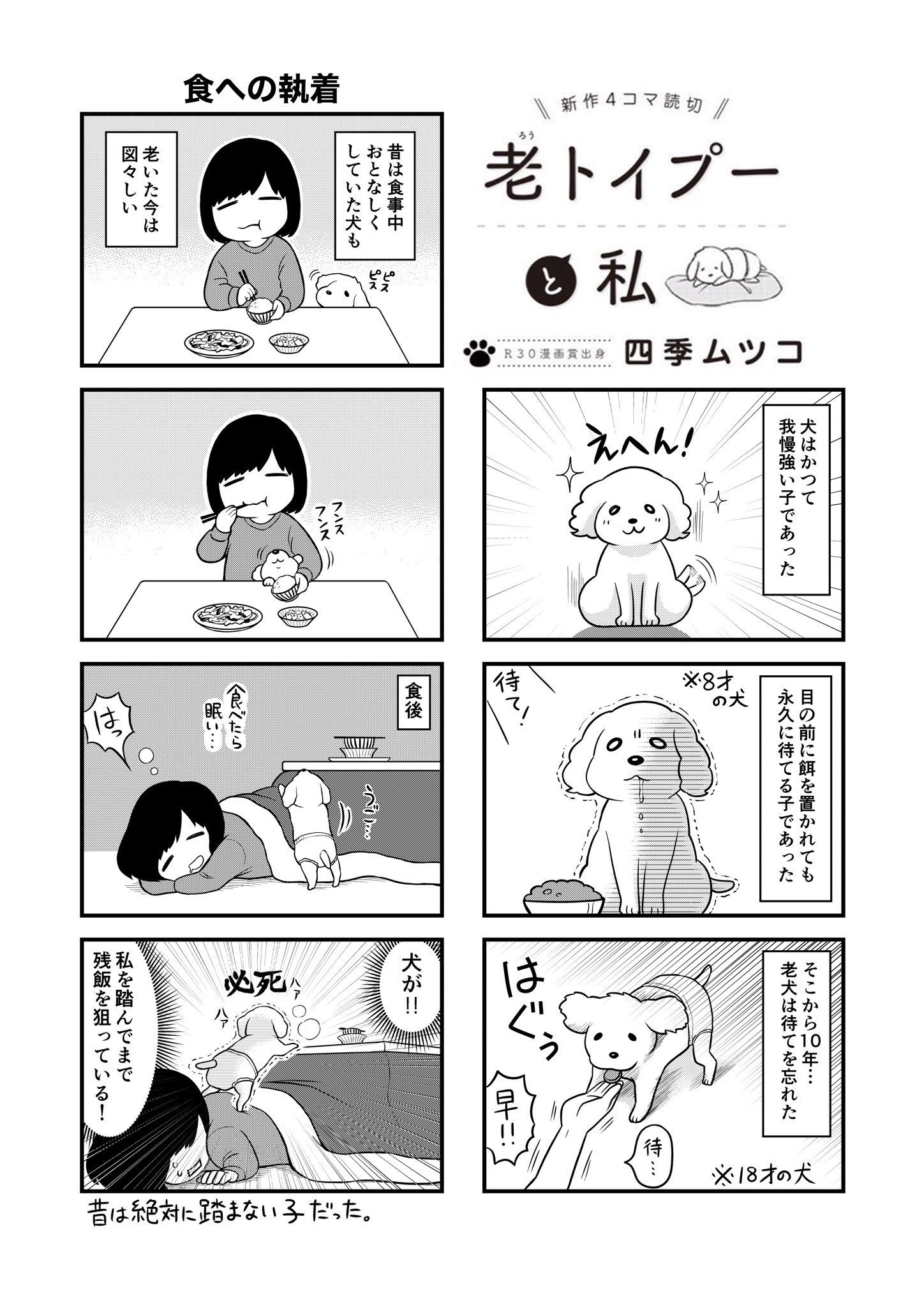 四季ムツコ ぼちかの 11 7発売 こういう感じの老犬あるある4コマが読めます 19歳になった老犬のヨボ可愛さをご覧ください T Co Xq38eduhxo Twitter