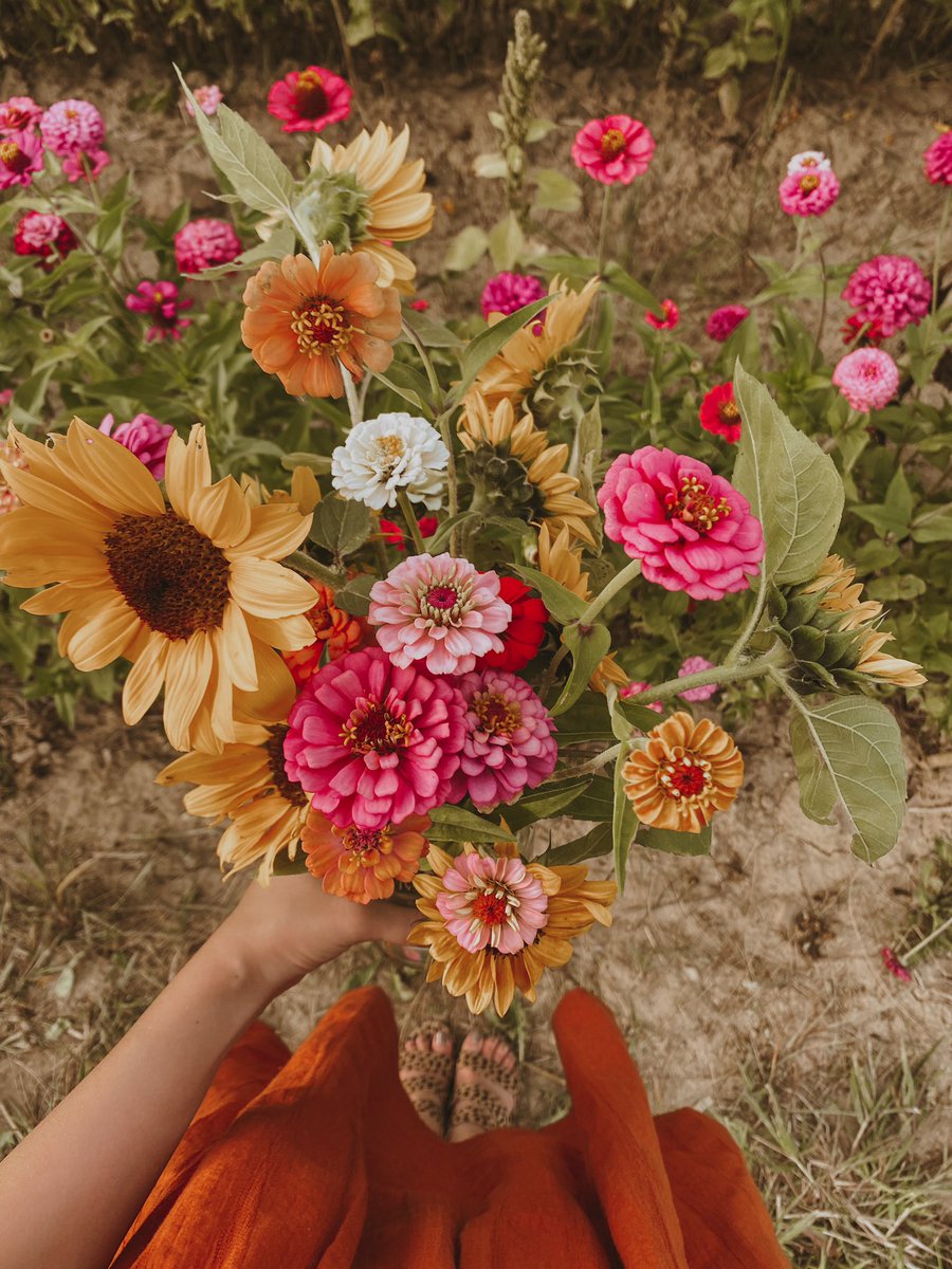 zoiemarieg's tweet photo. 9.6.20 https://t.co/ROYb5pkkk8
